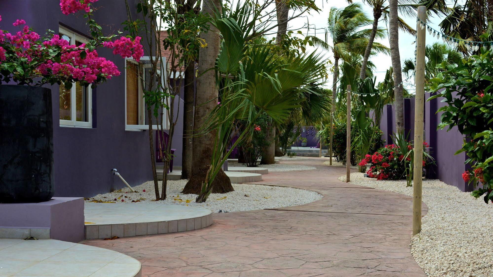 Cadushi Apartments Οράνχεσταντ Εξωτερικό φωτογραφία